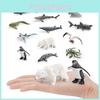 Miniature Marine Shark Penguin Polar Bear Figures Pvc Toy Set For Kids Play And Education
