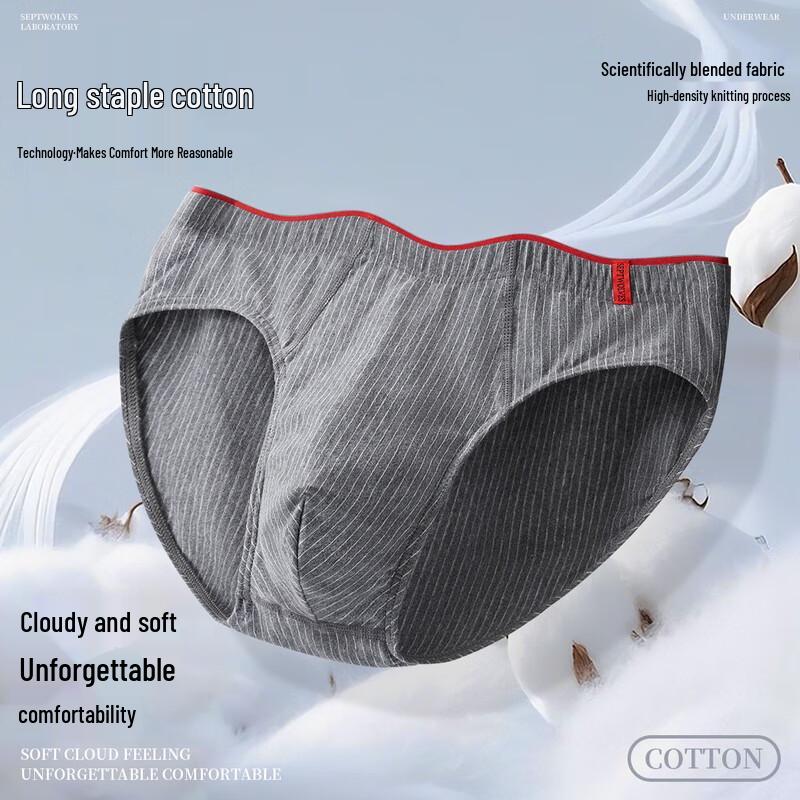 Seven Wolves Men's Pure Cotton Antibacterial Briefs (3-Pack)