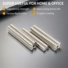 6X3MM Magnete Runde Kühlschrankmagnete für Büro Whiteboard Geeignete Werkzeuge Zuhause Arbeitsplatz, Etc 6*3
