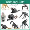 Primaten Tier Schimpanse Lemur Modell Sammlung PVC Statische Figuren Für Klassenzimmer Unterricht und Dekoration