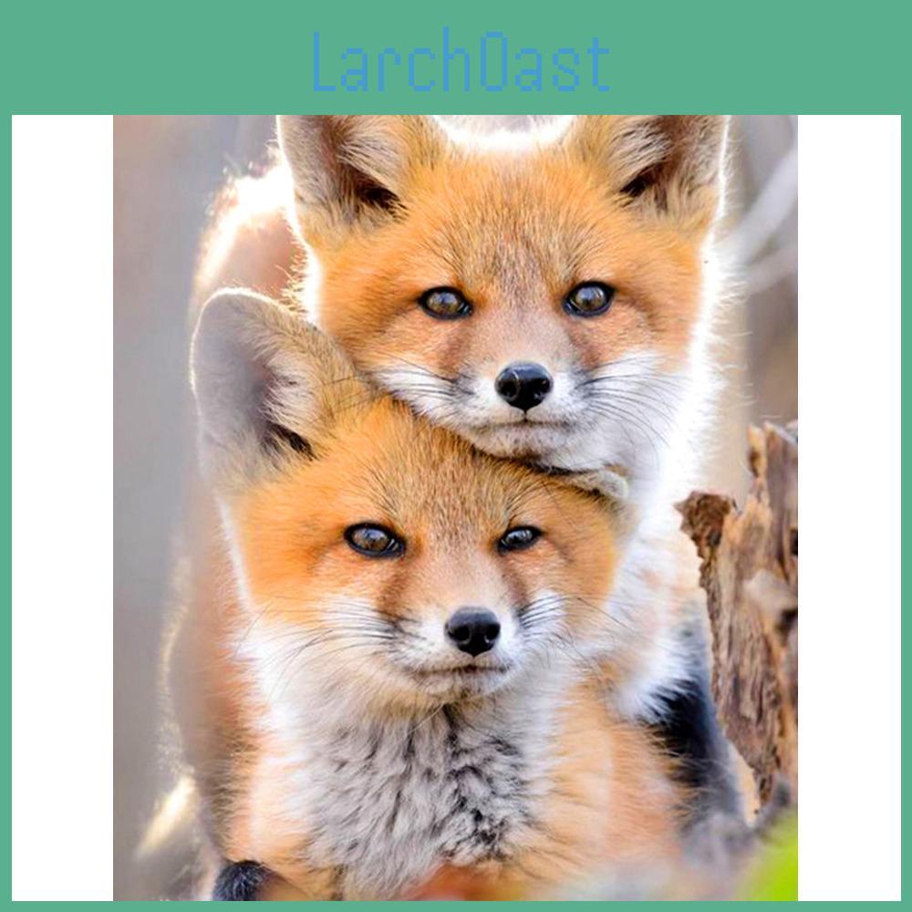 Animal Painting Diamond Diy 5d Fox Diamond Embroidery Cross Stitch Full Round Mosaic Picture