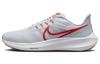 Air Zoom Pegasus 39 'Platinum Tint Light Crimson' DH4071-009