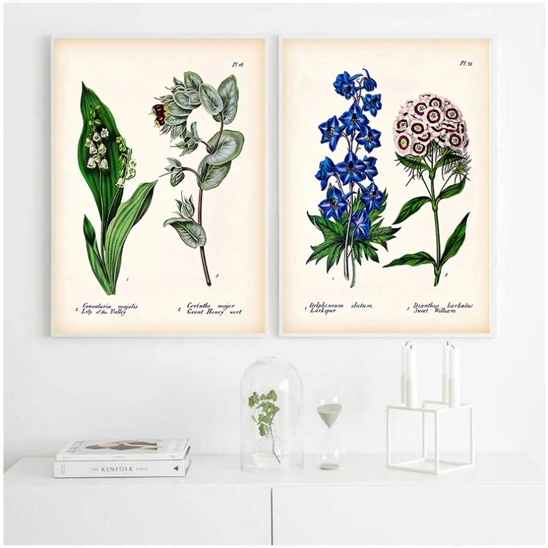 Antique Botanical Canvas Art Posters and Prints , Vintage Botanical Wall Art Painting Pictures for Living Room Home Decor