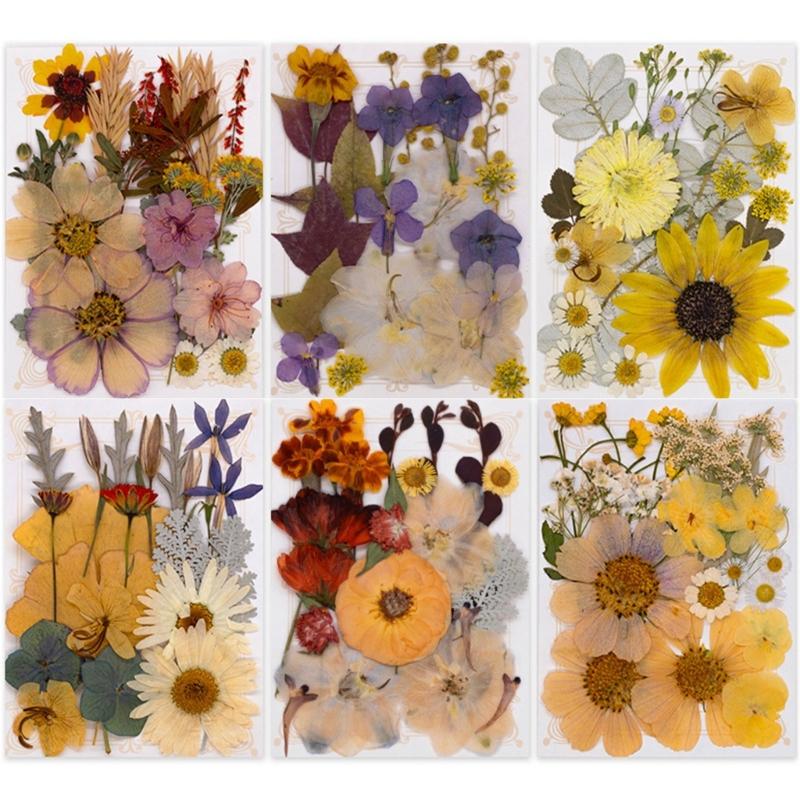 Natural Pressed Dried Flower For Epoxy Resin Dry Flowers and Leaves Set for Soap Candle Jewelry Making Scrapbooking