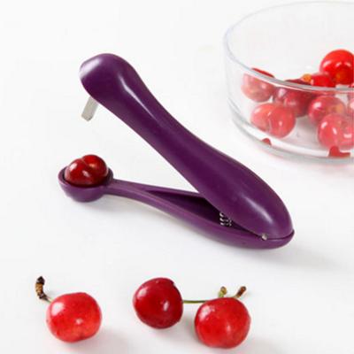 Snocciolatore di ciliegie Comodo strumento per rimuovere il torsolo di ciliegia Snocciolatore di frutta per giuggiole di ciliegie facile da pulire per la cucina di casa