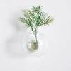 Mini Vase Refrigerator Magnet, Miniature Flower Vase Fridge Magnet, Plants Not Included, Cute Tiny Vase Magnet for Whiteboard Locker Office Kitchen