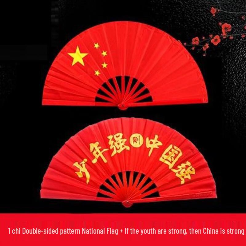 Fengyi Tai Chi Kung Fu Martial Arts Performance Fan