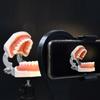Dental Photography Filling Light 5 Levels Adjustable Brightness Warm/White Ring Lamp for Mobile Phone Rotatable Dental Light