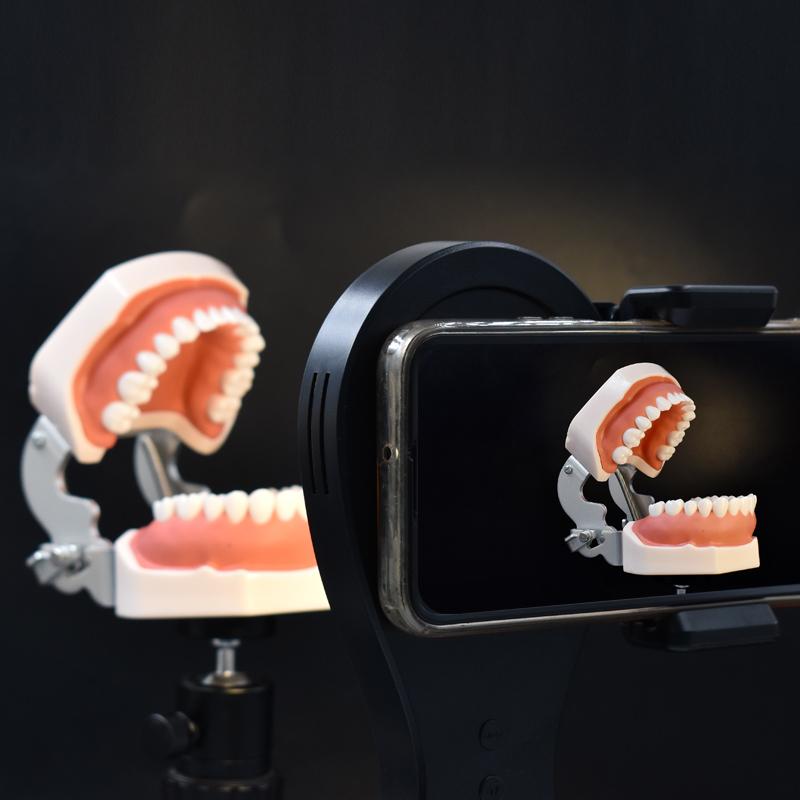 Dental Photography Filling Light 5 Levels Adjustable Brightness Warm/White Ring Lamp for Mobile Phone Rotatable Dental Light