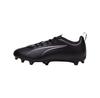 Футбольные бутсы Puma 107695-02