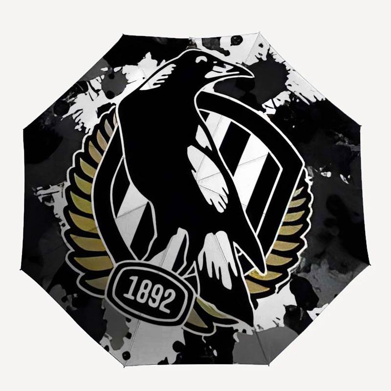 Eagle, Crest Automatic Opening and Closing, 8 rib Structure Portable Umbrella, Suitable for Men and Women in All Seasons  Perfect Gift for H