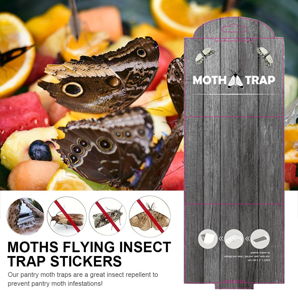 5Pcs Pantry Moth Traps with Pheromones Prime Sticky Glue Indian Meal Moth Traps Clothes Moth Traps for Food Cupboard
