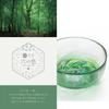 Aderia Glass Six Forest Gift Made in Glass Nature Traditional Handcrafted in a Japanese Nordic Style (ADERIA) [Tsugaru Bowl, Colors, Design, Boxed,