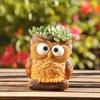 Cartoon Animal Resin Succulent Planter - Desktop, Garden, or Balcony Decor.