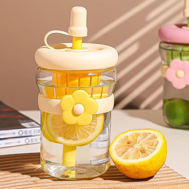Cute Floral 500ml Glass Straw Bottle with Infuser
