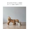 WHOLE FRESH MOGG Small Dog Food Bowl, Ceramic, Made In Japan, with Legs, Stable, Microwave and Dishwasher Safe, Stylish Design (White)