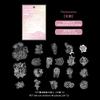 40pcs PET Holographic Transparent Sticker Pack, Shiny Journal Decor Material, DIY Waterproof Decals