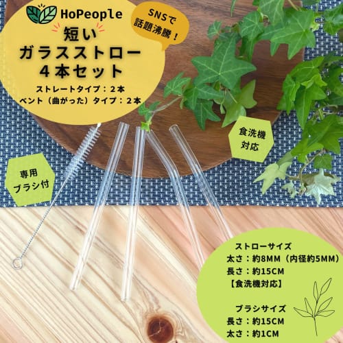 HoPeople My Straws, Food Sanitation Inspection Compliant, Set of 4, with Brush, Glass (Short)