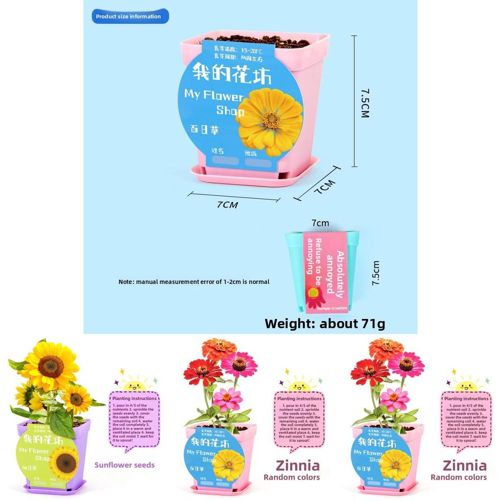 Kit Esperimento Scientifico Fai da Te Pianta in Vaso da Scrivania con Semi da Germinazione per Bambini e Decorazione per Ufficio