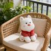 Plush Toys, Cute And Perfect Birthday Gifts For Friends And Classmates, Graduation Gifts