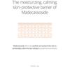 ROUND LAB - Mugwort Calming Mask