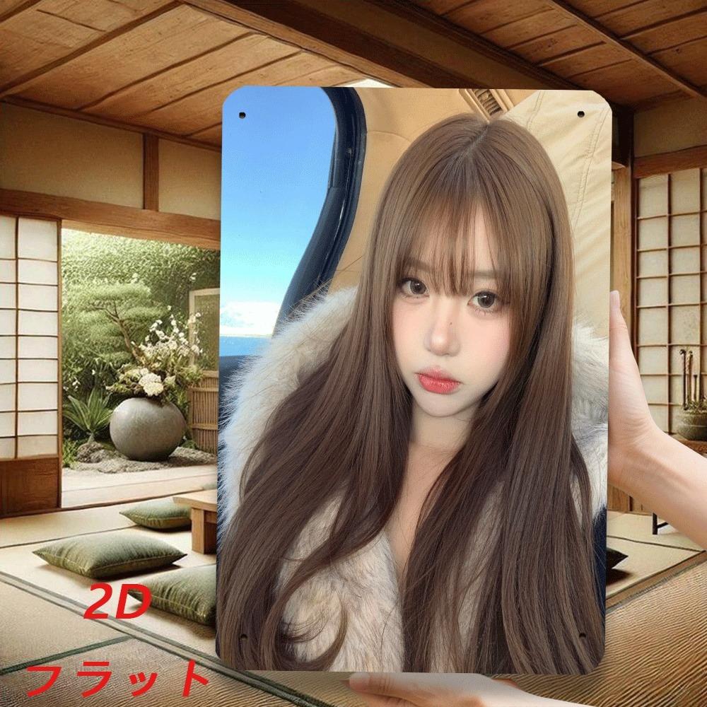 HD Metal Tin Sign Gorgeous Asian Girl In Fur Coat Car Selfie Retro Metal Wall Art X Inch