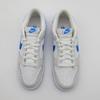 DV0831-108 Nike Dunk Low Summit White Photo Blue Platinum Tint (Men's)