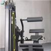 Weibu EM1015 Seated Back Extension Machine