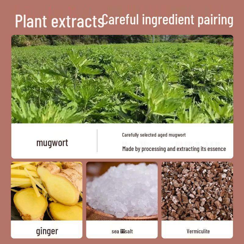 Beifuß Selbsterwärmendes Taillen- und Bauchpflaster – Dampf-Wärme Moxibustion Körperpflaster