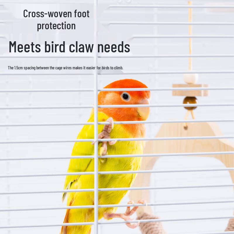 Pet Heaven Bird Cage for Small Parrots