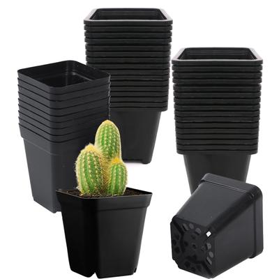 Kasanidika Anzuchtset von x für Sukkulenten und Zimmerpflanzen Schlitze zur Wurzelbelüftung Langlebiger PP-Topf für den Innenbereich, 40, 8,8cm 8cm, - Rot, Kunststoff,