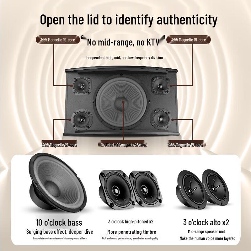SAST All-in-One Home KTV Karaoke System CN Plug (adapter Included) (CN Version)