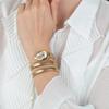 Roberto Cavalli Glam Evo 5 Silver Dial Gold Steel Strap Watch for Women JC1L228M0035