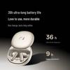 iFLYTEK AI Translation Conference Earbuds Pro 3