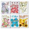 Dried Pressed Flower Handmade Decorative Artificial Flowers Dry Plant Resin Scrapbook Craft DIY Accessories Home