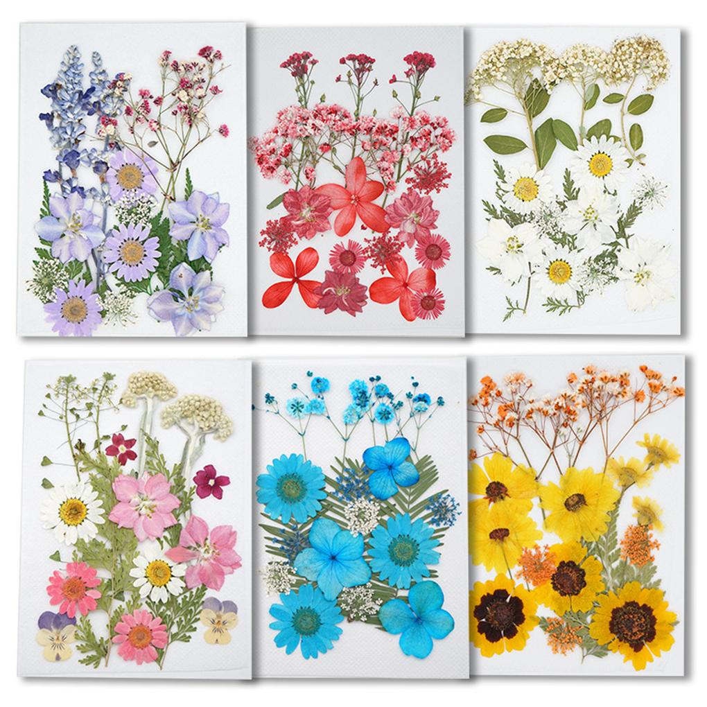 Dried Pressed Flower Handmade Decorative Artificial Flowers Dry Plant Resin Scrapbook Craft DIY Accessories Home