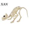 Durable Halloween Skeleton Decor Animal Skeleton, Realistic Fish Bird Spider Snake Cat Creepy Party Props Model for Party, Haunted House, Graveyard
