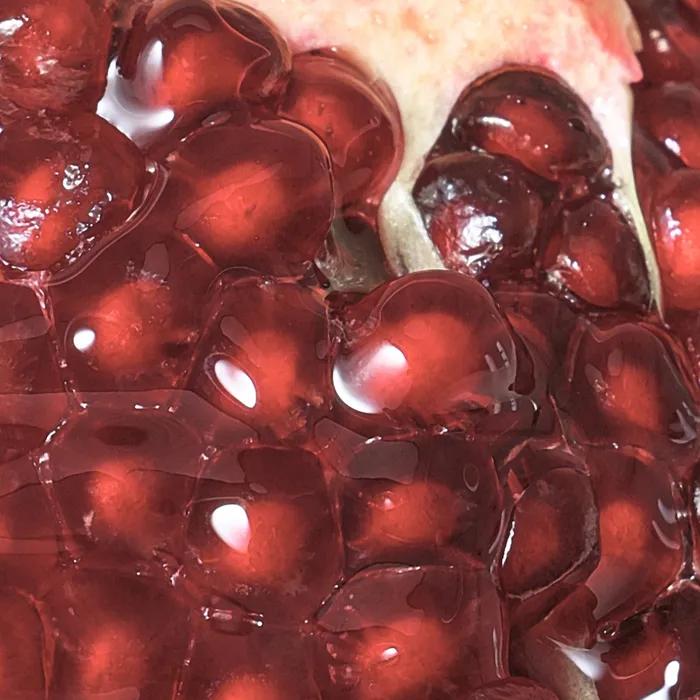 Pomegranate Biome Scalp Balancing Shampoo 480ml