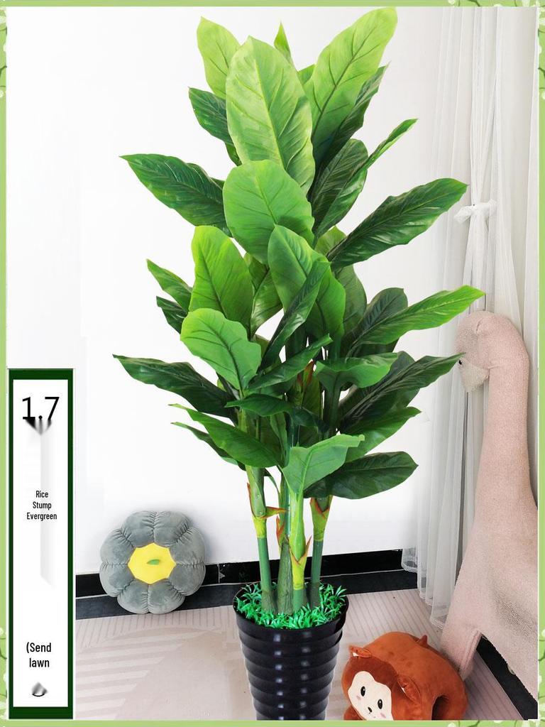 Large Indoor Evergreen Bonsai: Fake Plastic Tree Decor for Living Room.