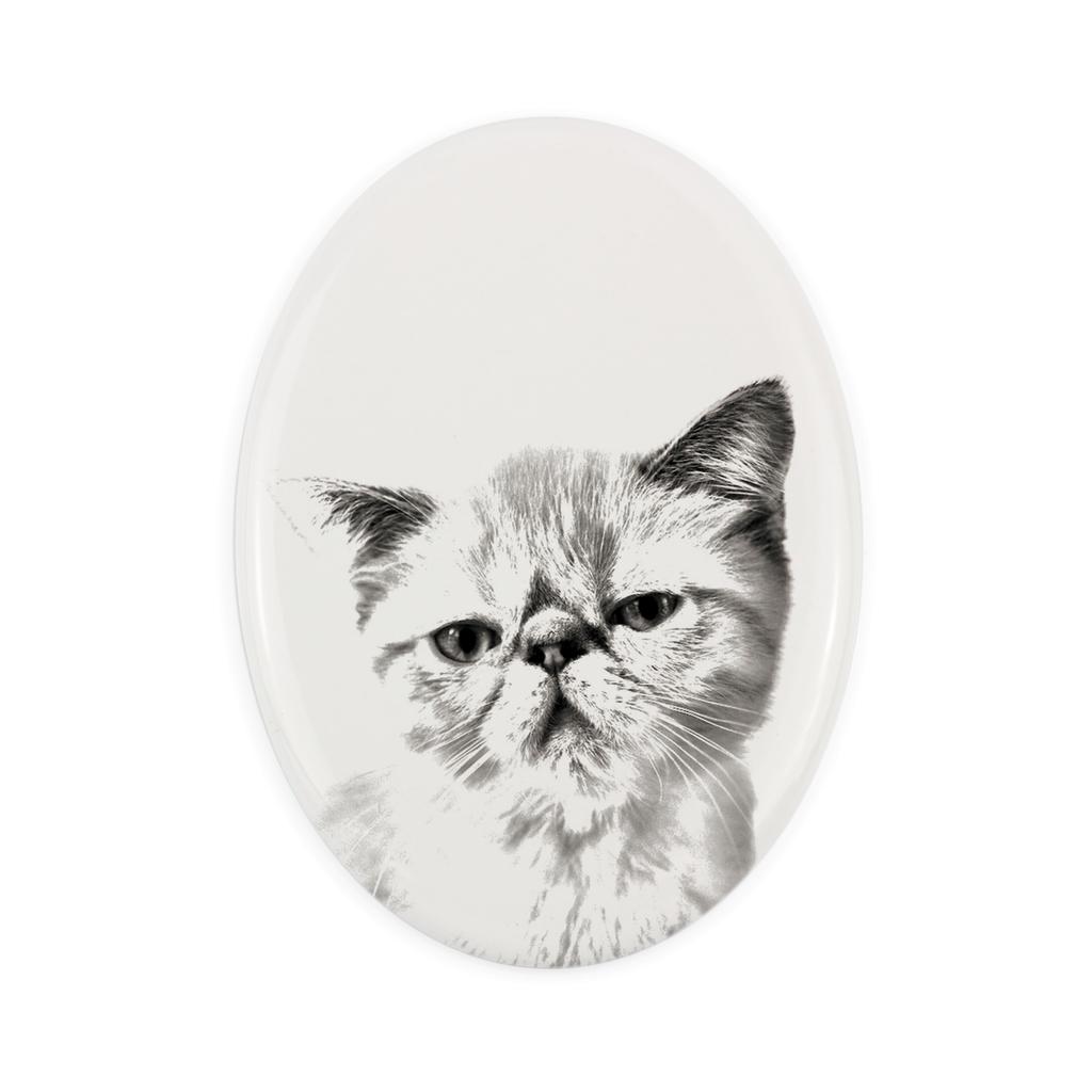 Exotic Shorthair – Commemorative plaque with a cat photo, tombstone with a print | Art-Dog