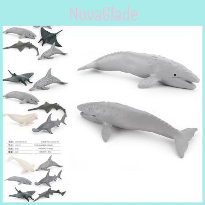 Realistisch Miniatuur Dolfijn Duivelsrog Beluga Walvishaai Model Oceaan Dier Speelgoed Collectie