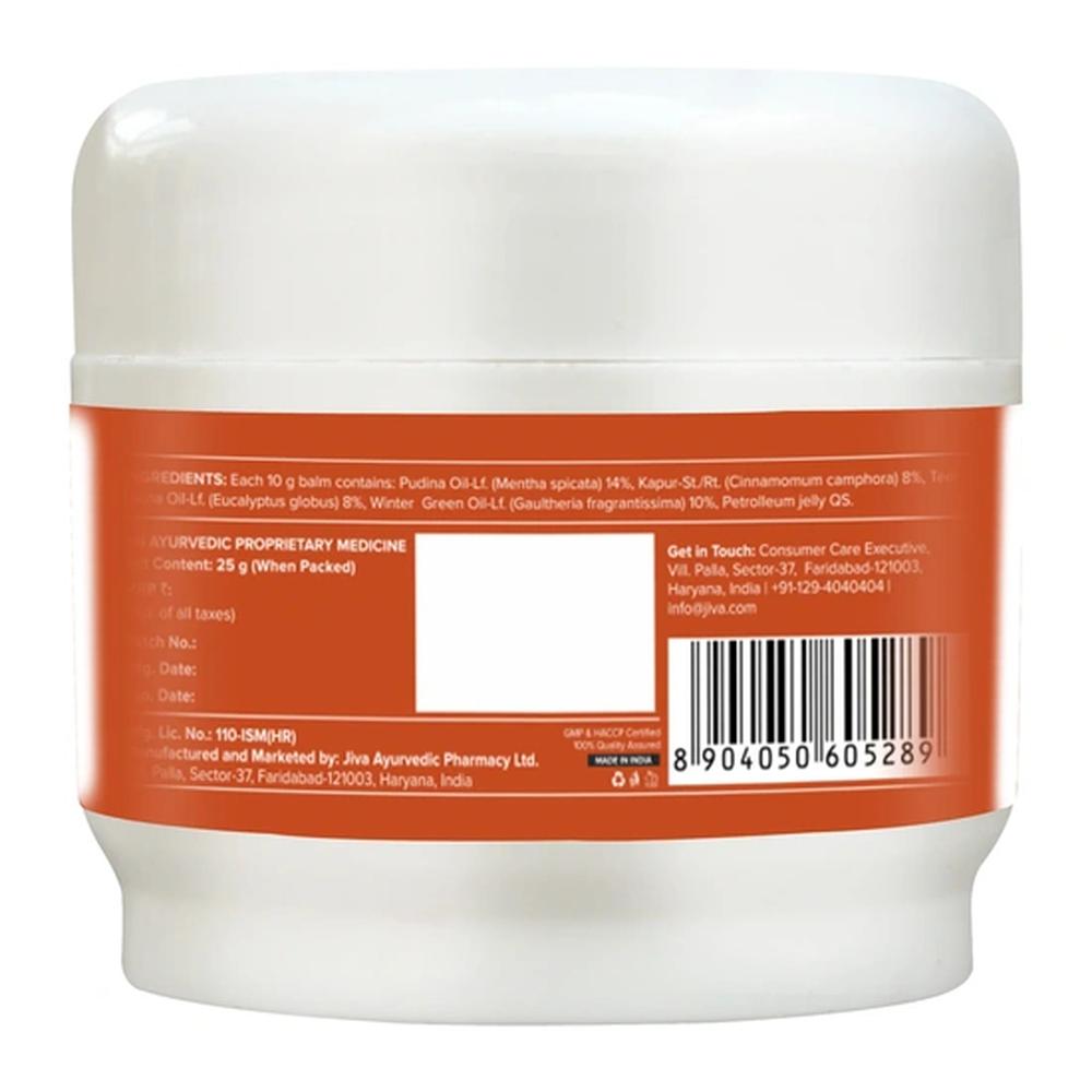 Jiva Pain Calm Balm Pack of 2 Relieves Pain