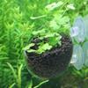 Kulturbecher Wasserpflanzenbecher Topf mit Saugnäpfen für Aquarium