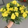 4Pcs Artificial Impatiens Flowers, Faux Impatiens Bushes Yellow Artificial Impatiens Bouquet for Patio Lawn Garden Pot Hanging Basket Porch Decoration