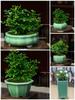Zisha Succulent Flower Pot Ceramic Incense Burner – Glazed, Creative Desktop Bonsai Planter, Handmade, for Office Decor.
