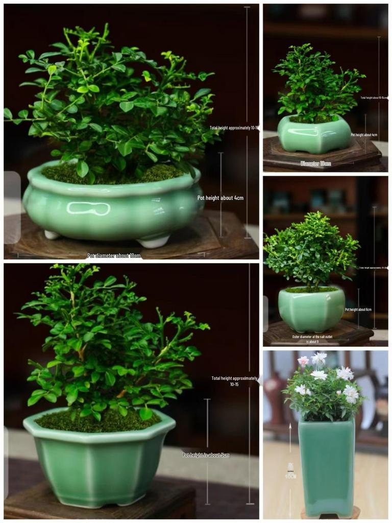 Zisha Succulent Flower Pot Ceramic Incense Burner – Glazed, Creative Desktop Bonsai Planter, Handmade, for Office Decor.