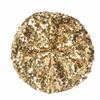 Solid Color Shining Beret Hat Chic Shiny Painter Hat Trendy Women's Sequin Beret  Night Club