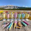 Tulip Pen Holder Cute Desktop Organizer for Girls Students Multi-Function Pencil Cup Desk Decor for Home School Office