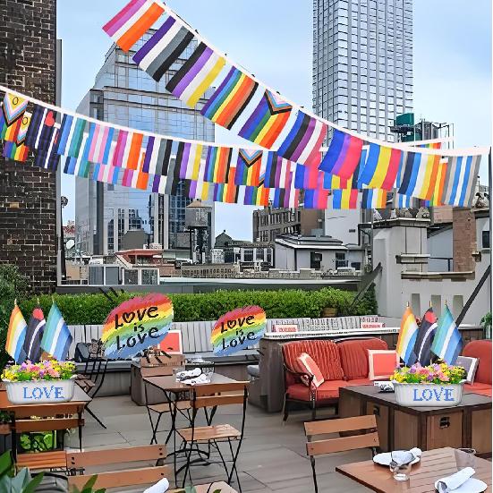 2 Pack Progress Gay Pride Flags Banner Bunting Rainbow LGBTQ Intersex Garland String Decorations 40Feet 30Flags 5x8 Inch