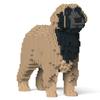 JEKCA Leonberger 01S-M02 ST19PT63-M02